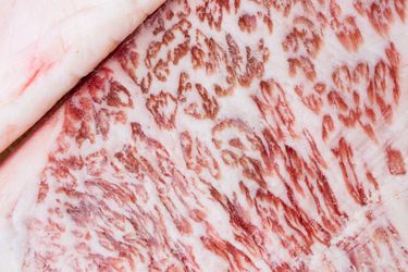 20160718-japanese-wagyu-beef-shutterstock.jpg