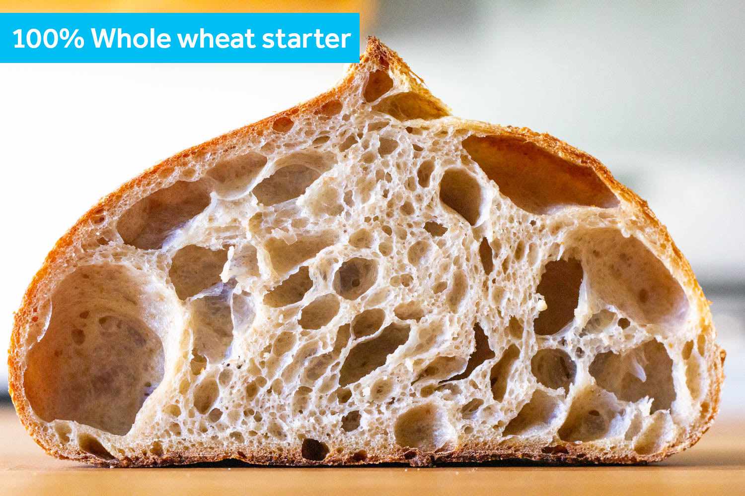 A cross section of the 100% whole wheat starter loaf.