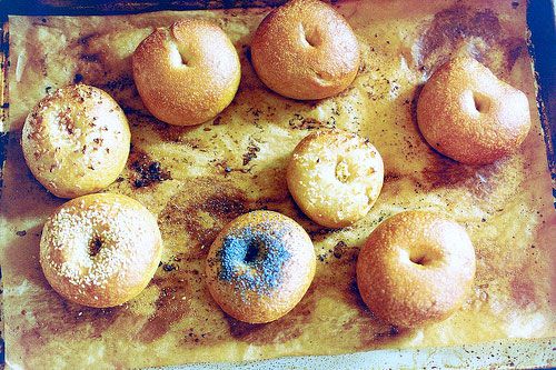 Homemade bagels on a piece of parchment 