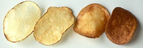 20100924-food-lab-chips07.jpg