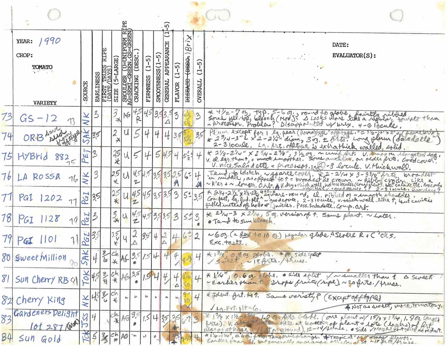 Handwritten notes on a field data sheet titled Sungold documenting tomato varieties with observations and metrics from 1990