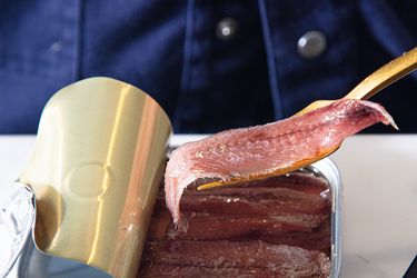 Canned anchovies being lifted with a utensil