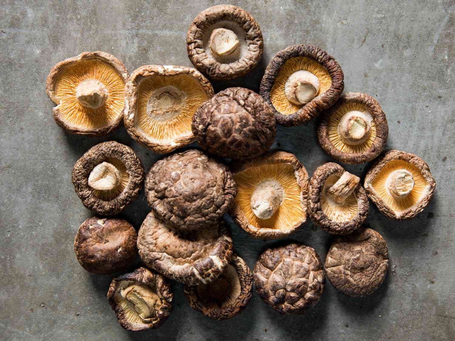 Dried shiitake mushrooms on grey background