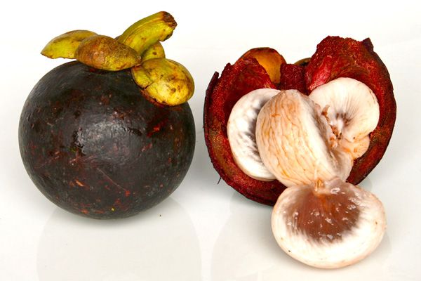 Mangosteen