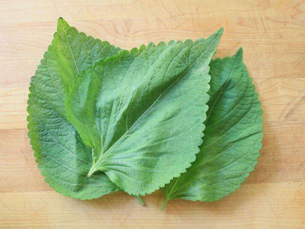 perilla leaves