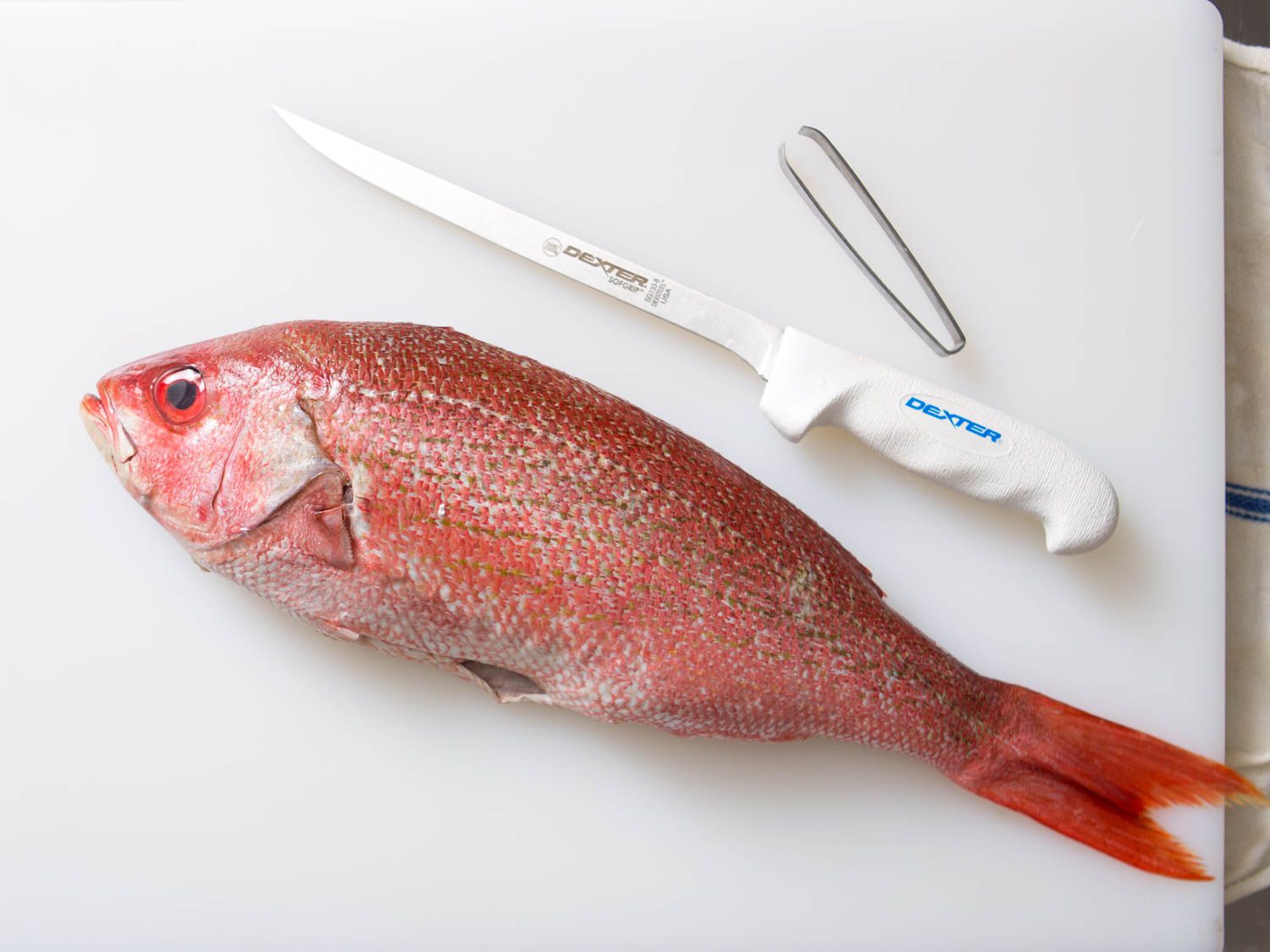 20150922-how-to-fillet-fish-2.jpg