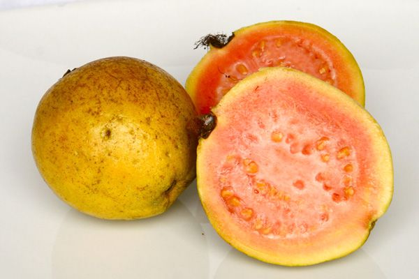 Guava