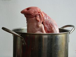 A pig's head in a pot with the snout pointing up. 