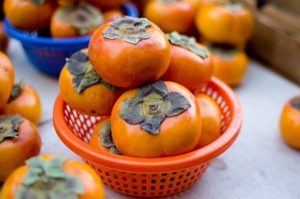 A plastic colander piled with fuyu persimmons.