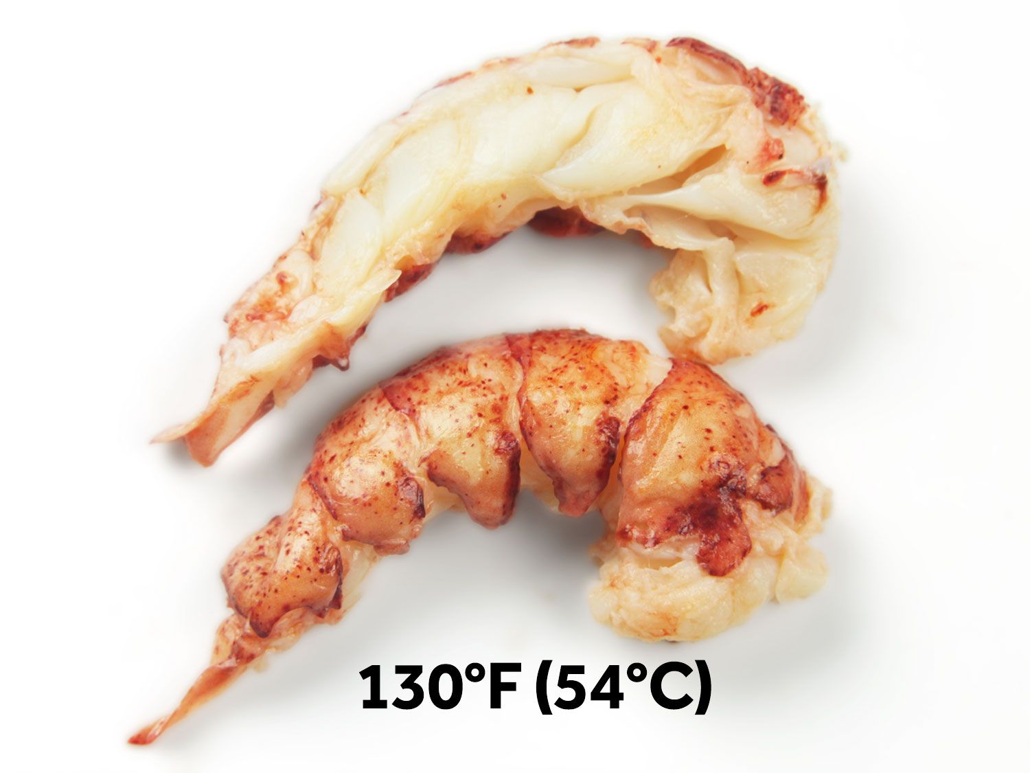 Overhead view of a lobster tail that's been halved to show the interior color. Black text reads: "130 degrees Fahrenheit (54 degrees Celsius)."