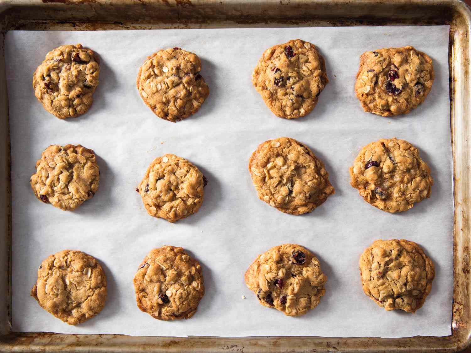 Baked cranberry oatmeal cookies on a baking tray. 