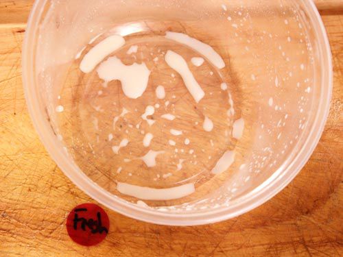 A plastic pint container holding traces of mozzarella whey at the bottom.