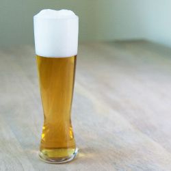 A tall pint glass of golden kölsch-style beer.