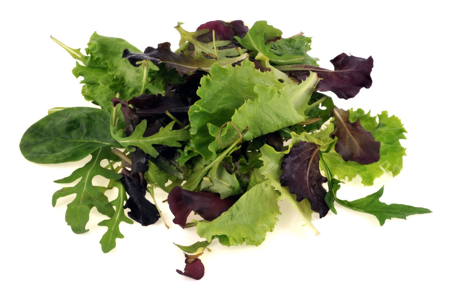 Mesclun 