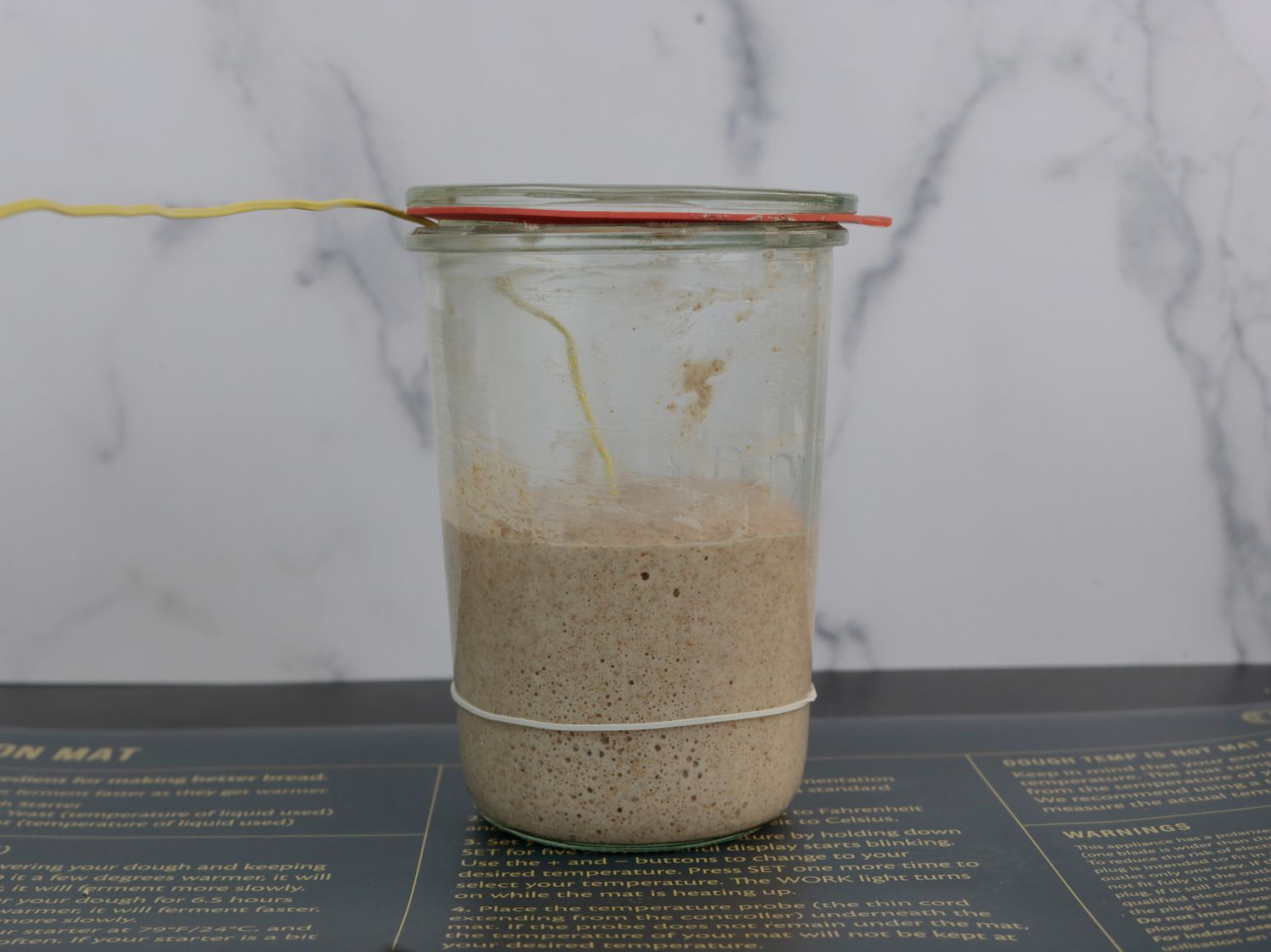 sourdough starter in a jar being warmed by a heating mat