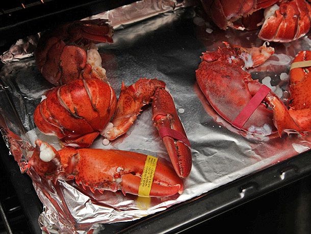 Steamed lobsters on a foil-lined baking sheet, going into the oven