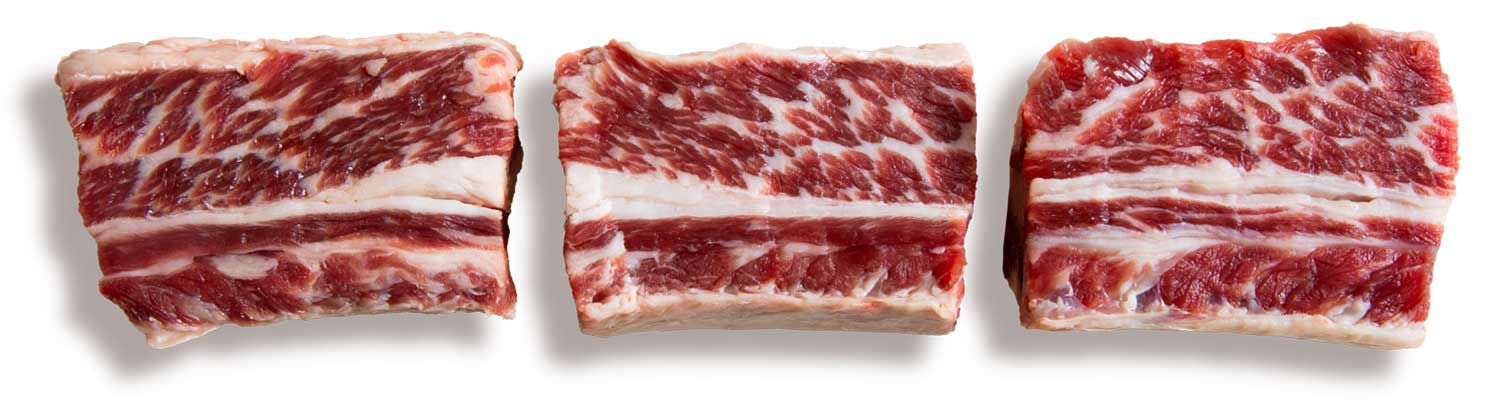Striations of fat in a short rib cut.