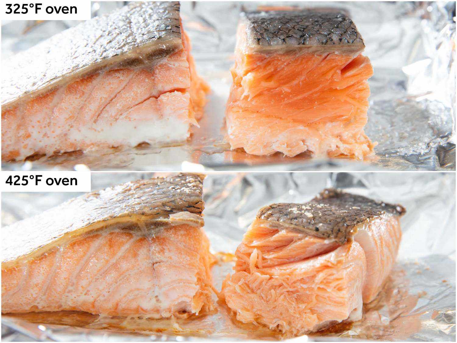 Salmon cooked at different temperatures in the oven