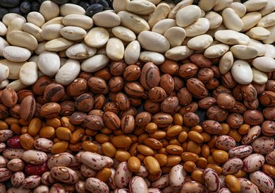 An assortment of dried beans of various types arranged in horizontal layers