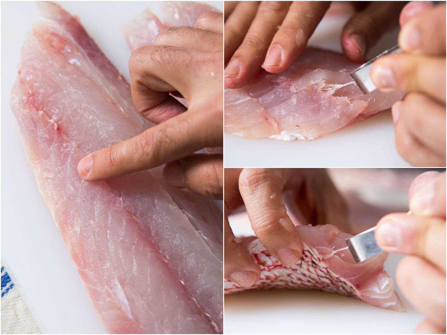20150922-how-to-fillet-fish-pinbones.jpg