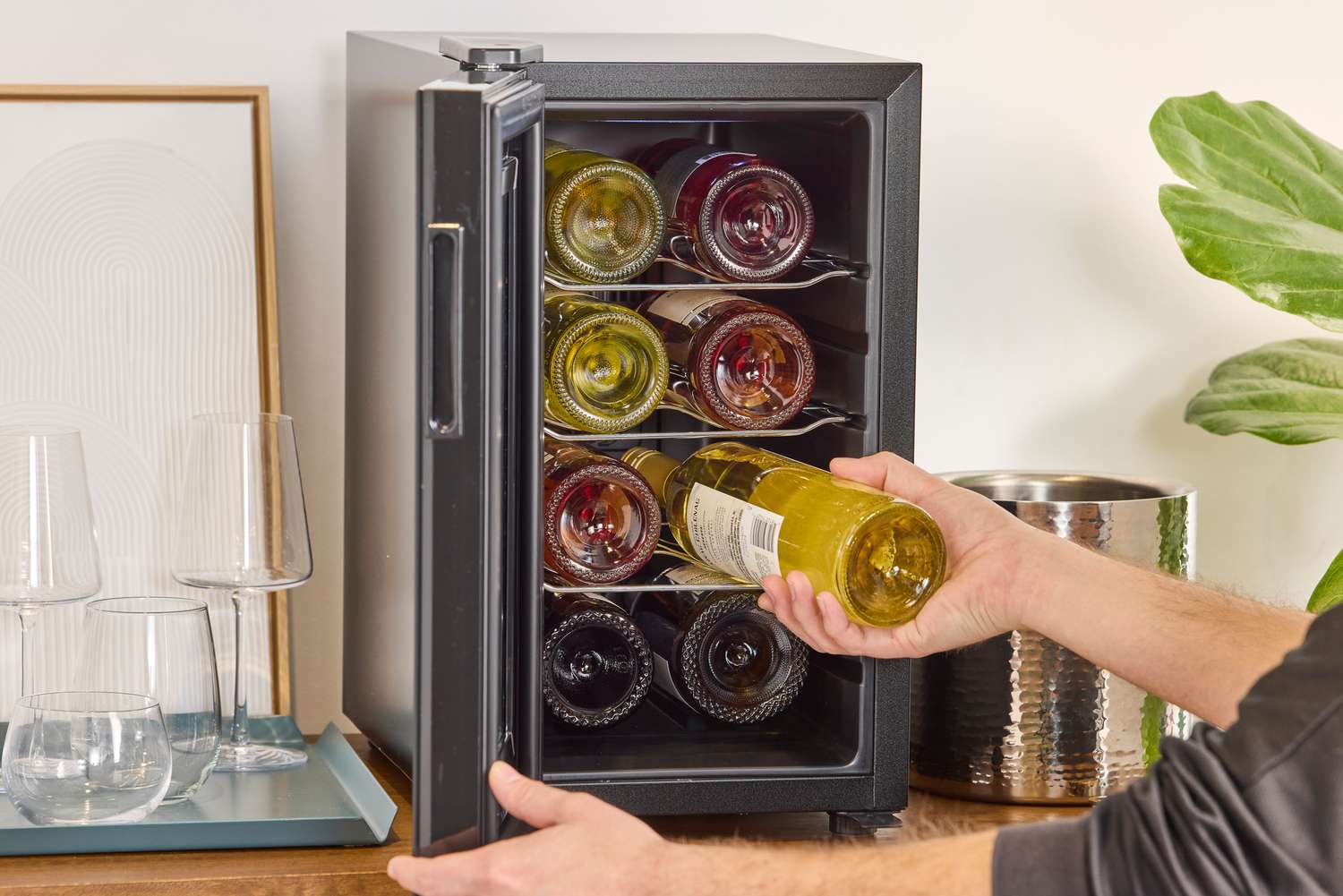 Person putting bottle of wine into a small, countertop wine fridge.
