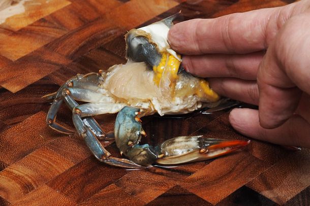 A hand peeling back the top shell of a soft-shell crab to expose the gills