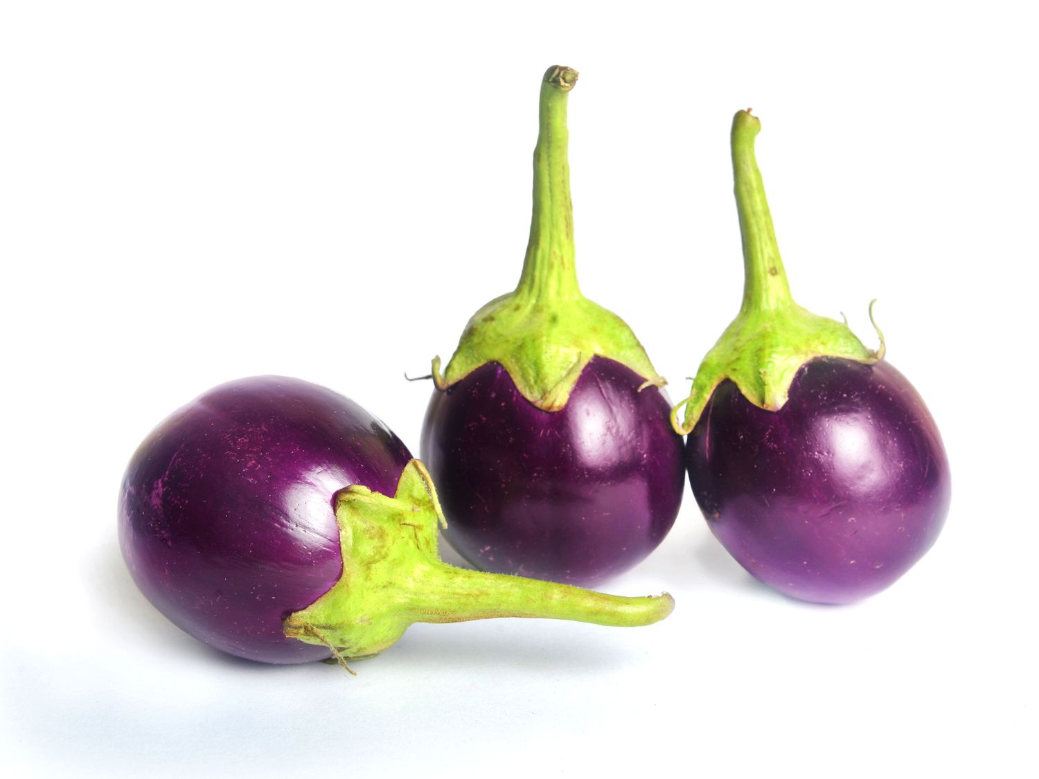 Indian eggplant