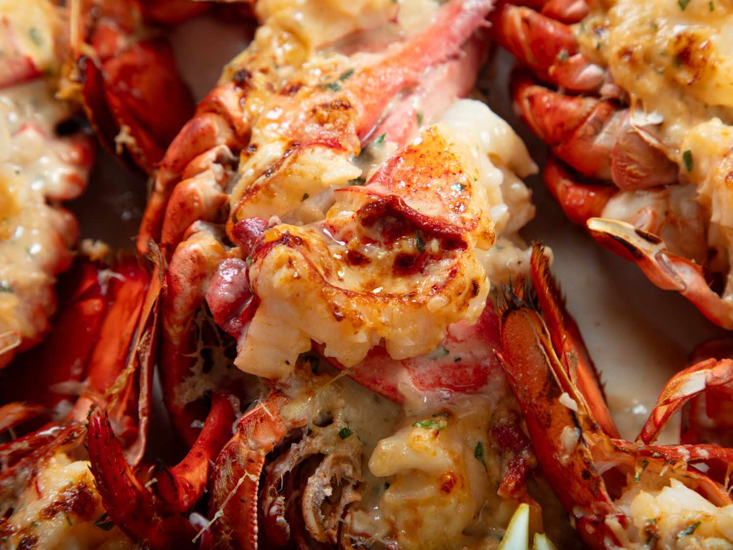 Overhead view of Lobster Thermidor