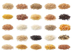 small piles of 25 different whole grains such as different rices, corn, wheat berries, millet, and others. 