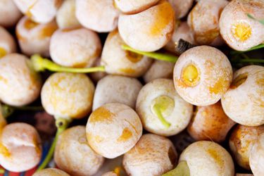 A pile of ginkgo fruit, which are cherry sized and golden brown.