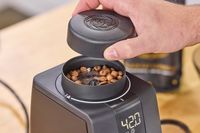 A close-up of coffee beans inside the Baratza Encore ESP Pro Coffee Grinder