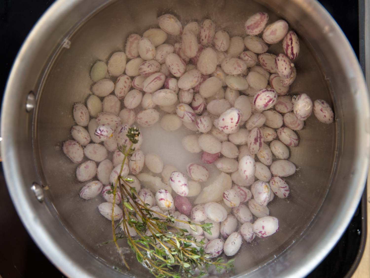 Fresh cranberry beans in a pot of water, with an herb sprig.