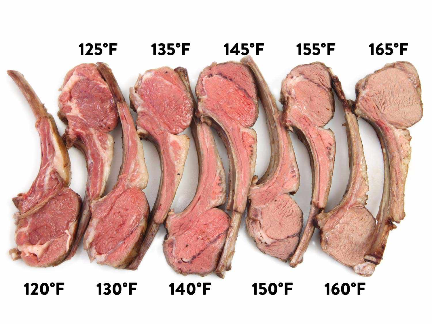 Labeled image of chops from rack of lamb, each cooked sous vide at a different temperature, from 120 to 165 degrees Fahrenheit