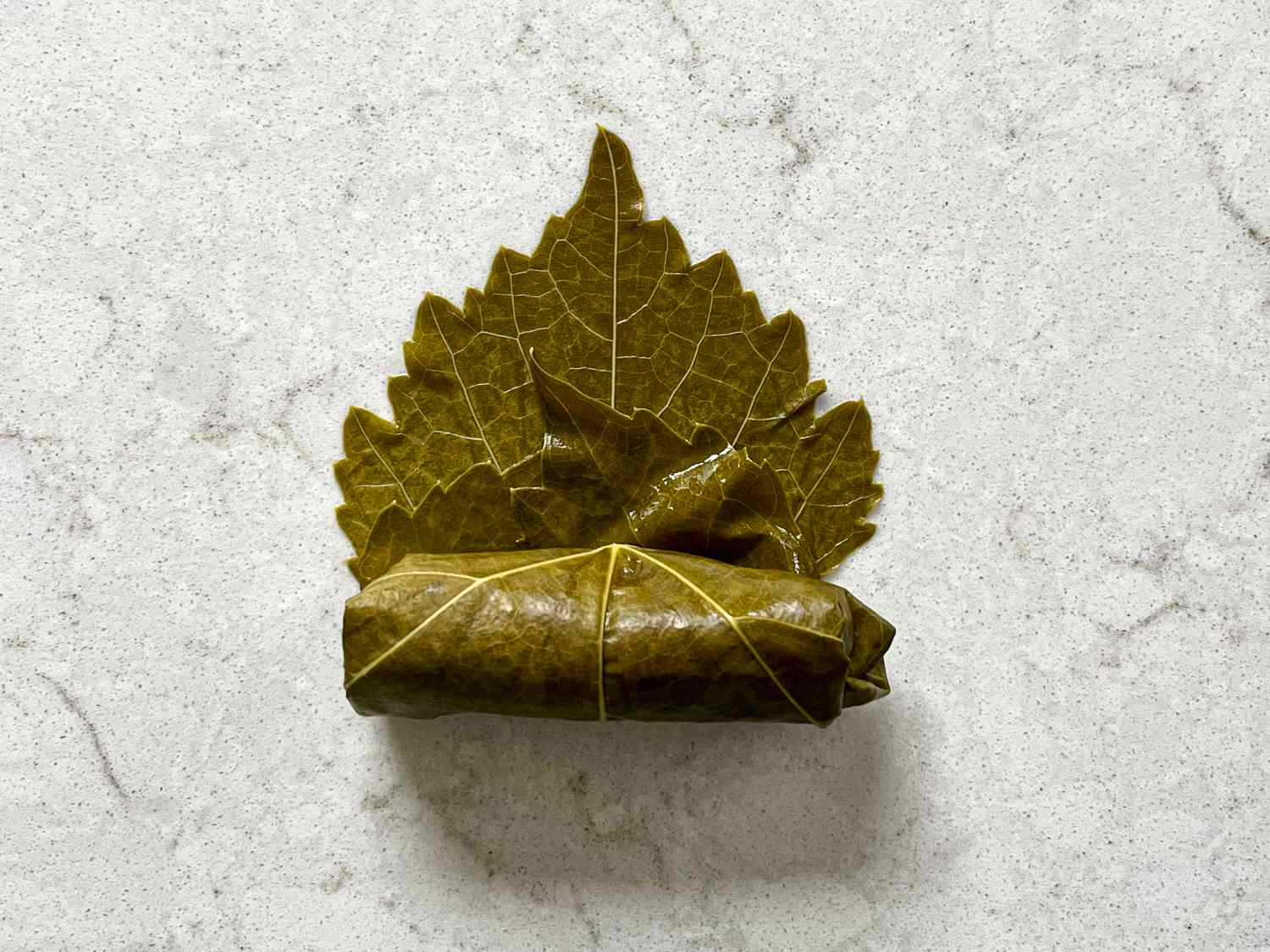Half folded grape leaf 