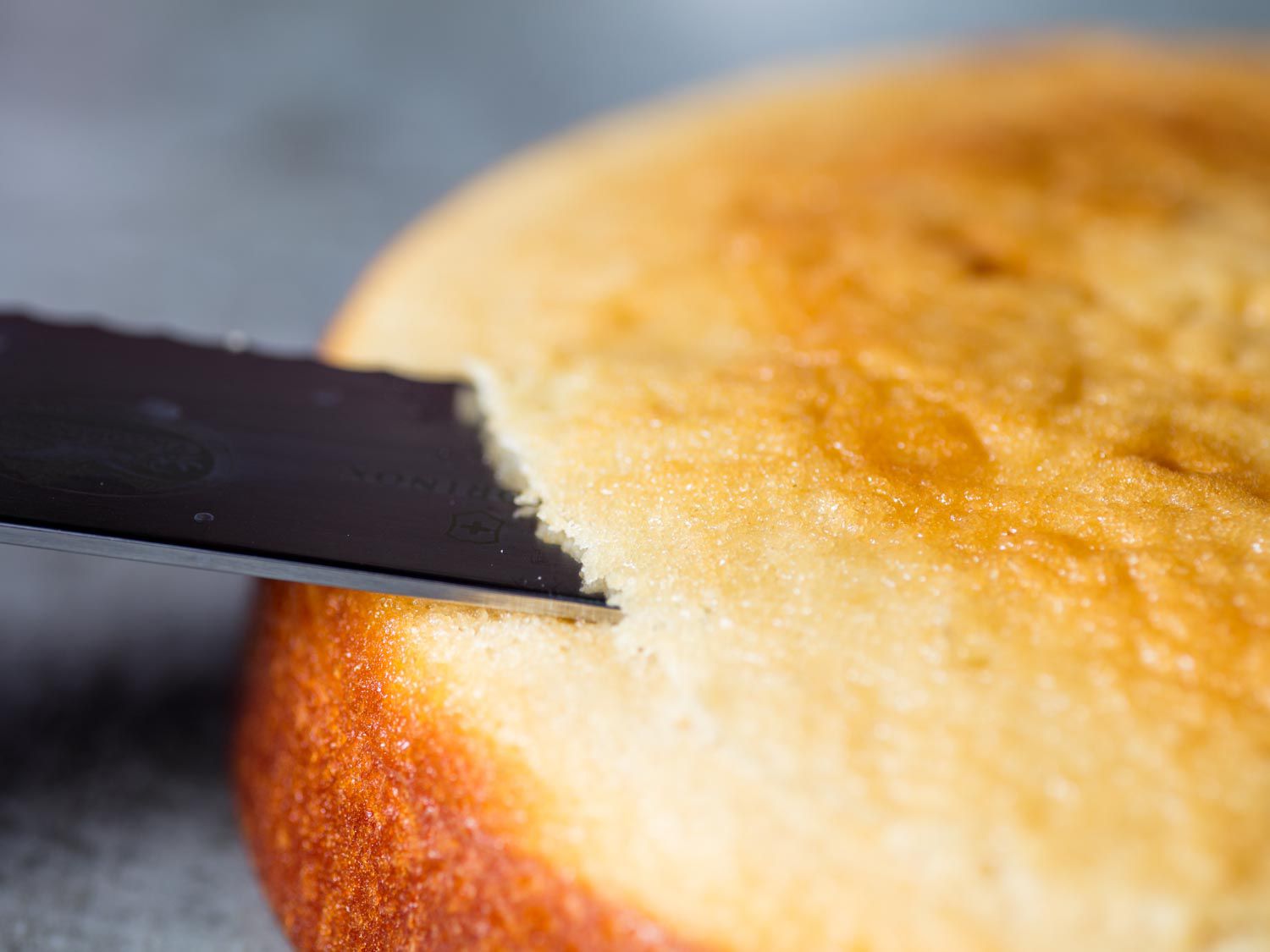 leveling a cake with a serrated knife
