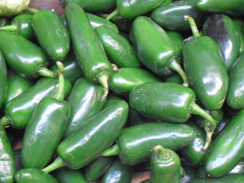 20100423jalapenos.jpg