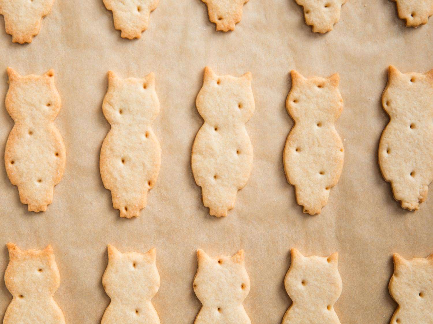 Overhead shot of owl-shaped shortbread biscuits on parchment.