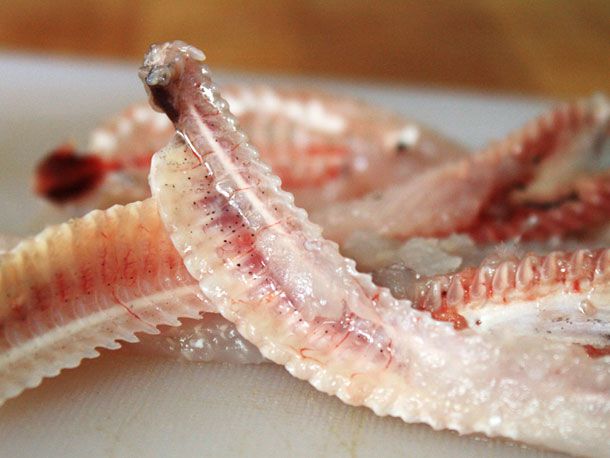 Raw fish bones.