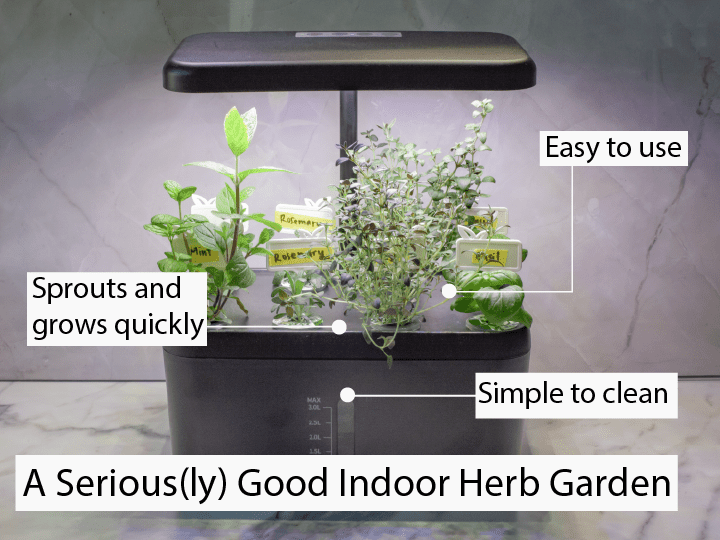 A black indoor herb garden growing basil, rosemary, and mint.