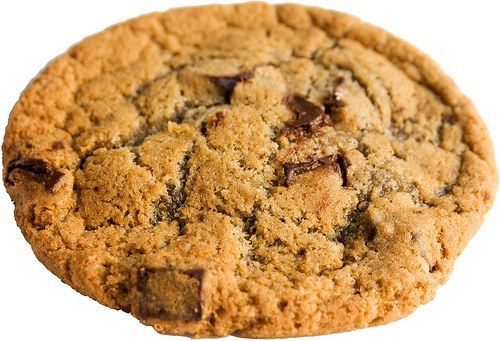 Roasting Plant / Tom Cat Bakery