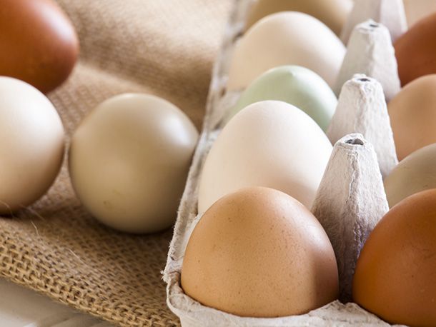 20140302shutterstockeggs.jpg