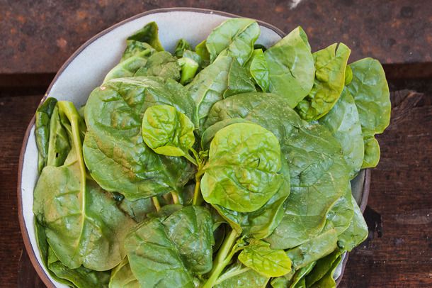 Fava greens resting in a bowl