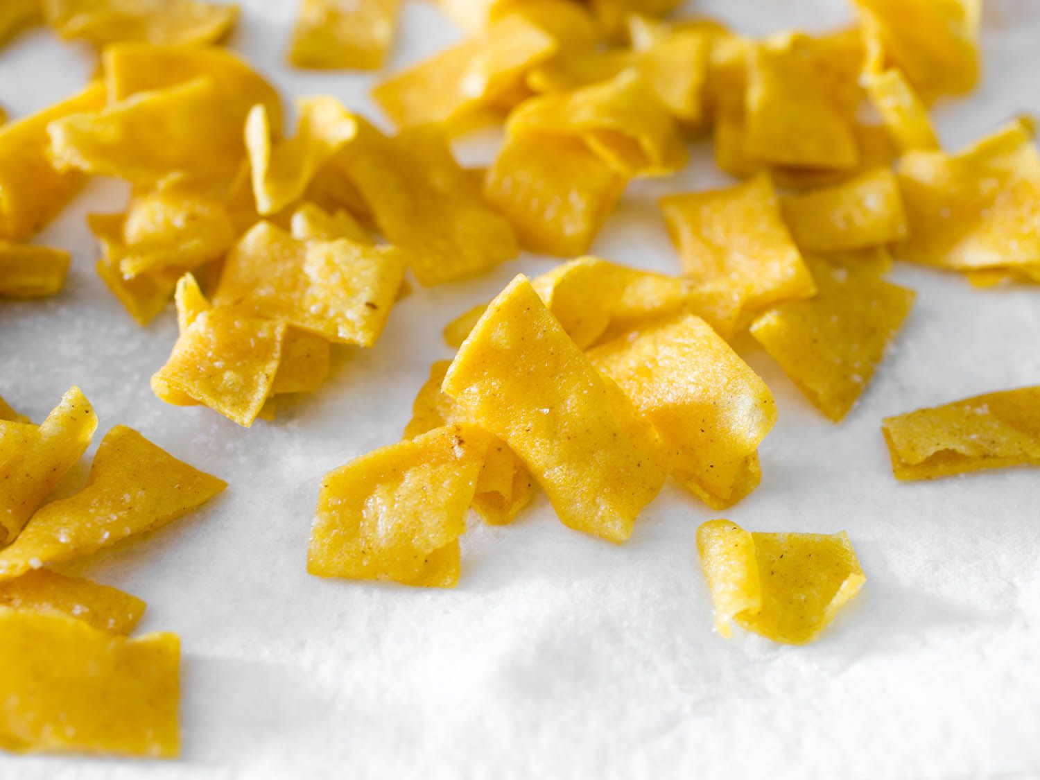 Freshly-fried tortilla chips.