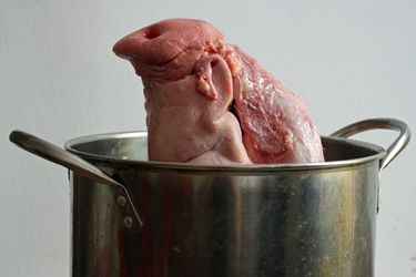 A pig's head in a pot with the snout pointing up. 