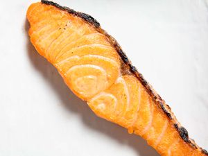 Closeup of a cooked slice of Japanese-style salted salmon on a white background.