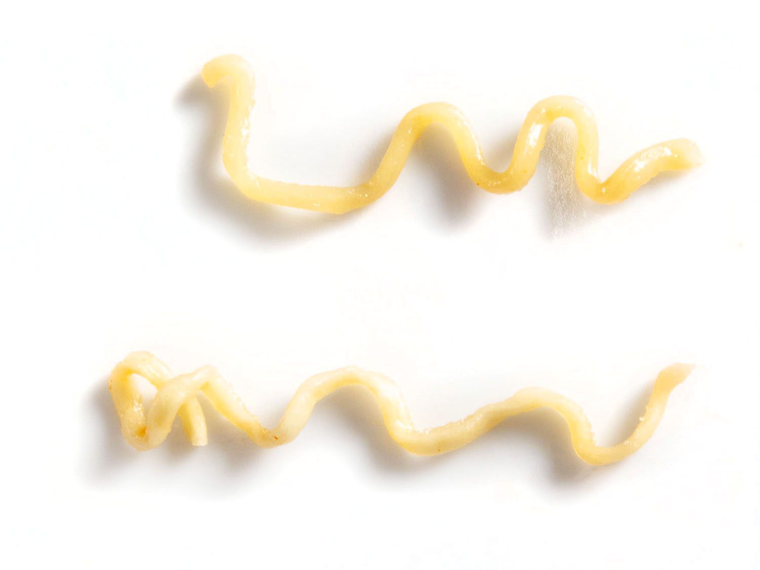 Side-by-side comparison of cooked noodles from Shin Ramyun Cup Noodle and Shin Ramyun packaged noodles