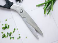 closeup of shun shears blades