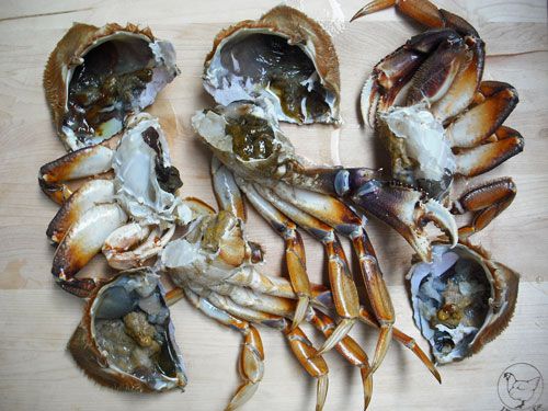 An uncooked crab broken down into parts