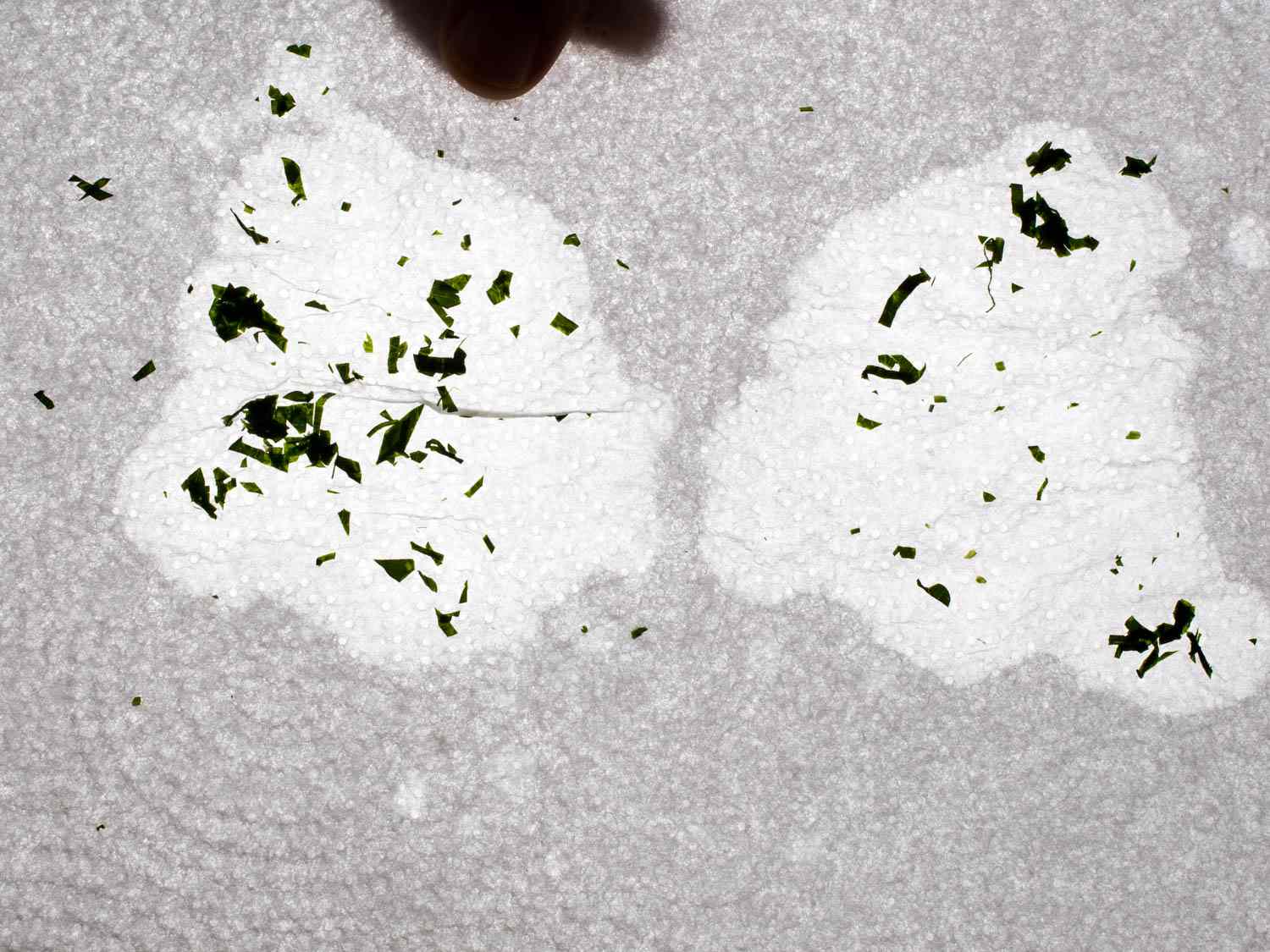 A paper towel that's absorbed water from a bunch of parsley