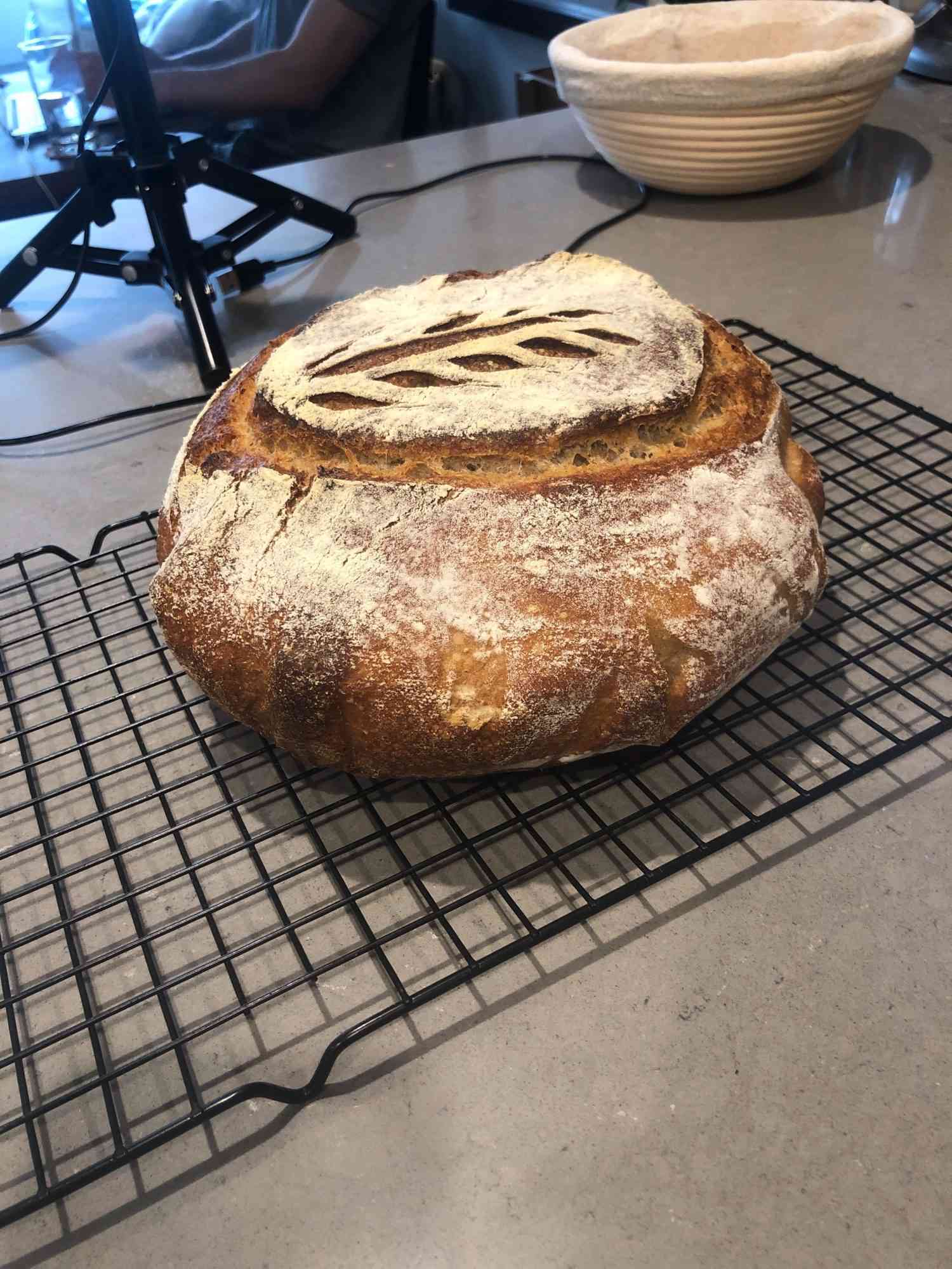 side view of a loaf of bread on a cooling rack on a counter